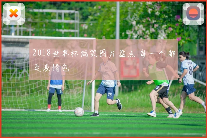 2018世界杯搞笑图片盘点 每一个都是表情包
